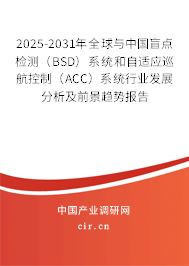 2025-2031年全球與中國盲點(diǎn)檢測（BSD）系統(tǒng)和自適應(yīng)巡航控制（ACC）系統(tǒng)行業(yè)發(fā)展分析及前景趨勢報告