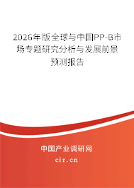 2026年版全球與中國PP-B市場專題研究分析與發(fā)展前景預(yù)測報(bào)告 2026年版全球與中國PP-B市場專題研究分析與發(fā)展前景預(yù)測報(bào)告