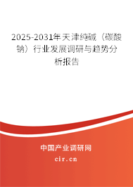 2025-2031年天津純堿（碳酸鈉）行業(yè)發(fā)展調(diào)研與趨勢分析報告