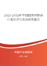 2025-2031年中國(guó)圖像轉(zhuǎn)換器行業(yè)現(xiàn)狀與發(fā)展趨勢(shì)報(bào)告