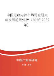 中國無痕內(nèi)褲市場調(diào)查研究與發(fā)展前景分析（2026-2032年）
