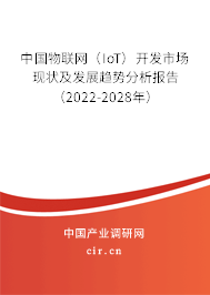 中國物聯(lián)網(wǎng)（IoT）開發(fā)市場現(xiàn)狀及發(fā)展趨勢(shì)分析報(bào)告（2022-2028年）