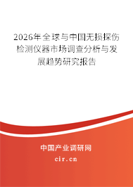 2026年全球與中國無損探傷檢測儀器市場調查分析與發(fā)展趨勢研究報告