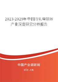 2023-2029年中國冷軋帶鋼絲產業(yè)深度研究分析報告