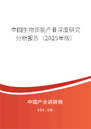 中國生物質(zhì)能產(chǎn)業(yè)深度研究分析報告（2025年版）
