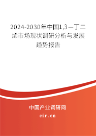 2024-2030年中國(guó)1,3—丁二烯市場(chǎng)現(xiàn)狀調(diào)研分析與發(fā)展趨勢(shì)報(bào)告