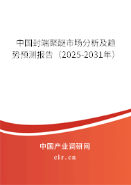 中國封端聚醚市場分析及趨勢預(yù)測報告（2025-2031年）