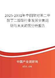 2025-2031年中國聚對苯二甲酸丁二醇酯行業(yè)發(fā)展全面調(diào)研與未來趨勢分析報告