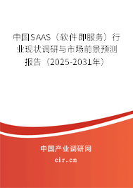 中國SAAS（軟件即服務(wù)）行業(yè)現(xiàn)狀調(diào)研與市場前景預(yù)測報(bào)告（2025-2031年）
