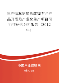 年產(chǎn)微車貨箱總成30萬臺(tái)產(chǎn)品開發(fā)及產(chǎn)業(yè)化生產(chǎn)項(xiàng)目可行性研究分析報(bào)告（2012年）