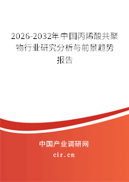 2026-2032年中國丙烯酸共聚物行業(yè)研究分析與前景趨勢報告