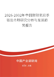 2024-2030年中國(guó)聚硅氧烷季銨鹽市場(chǎng)研究分析與發(fā)展趨勢(shì)報(bào)告