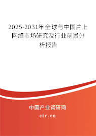 2025-2031年全球與中國片上網(wǎng)絡市場研究及行業(yè)前景分析報告