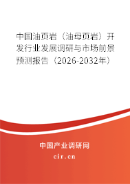 中國油頁巖（油母頁巖）開發(fā)行業(yè)發(fā)展調研與市場前景預測報告（2026-2032年）