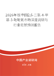 2026年版中國2,6-二氯-4-甲基-3-吡啶氰市場深度調研與行業(yè)前景預測報告