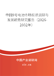 中國9號電池市場現狀調研與發(fā)展趨勢研究報告（2026-2032年）