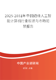 2025-2031年中國邊緣人工智能計算機行業(yè)現(xiàn)狀與市場前景報告