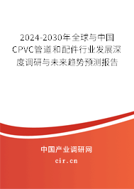 2024-2030年全球與中國CPVC管道和配件行業(yè)發(fā)展深度調(diào)研與未來趨勢預(yù)測報告