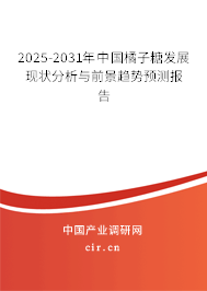 2025-2031年中國(guó)橘子糖發(fā)展現(xiàn)狀分析與前景趨勢(shì)預(yù)測(cè)報(bào)告