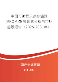 中國可編程只讀存儲(chǔ)器(PROM)發(fā)展現(xiàn)狀分析與市場(chǎng)前景報(bào)告(2025-2031年) 中國可編程只讀存儲(chǔ)器(PROM)發(fā)展現(xiàn)狀分析與市場(chǎng)前景報(bào)告(2025-2031年)