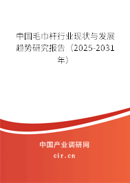 中國毛巾桿行業(yè)現(xiàn)狀與發(fā)展趨勢研究報告（2025-2031年）