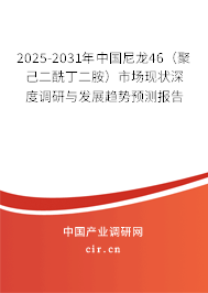 2025-2031年中國尼龍46（聚己二酰丁二胺）市場現(xiàn)狀深度調(diào)研與發(fā)展趨勢預(yù)測報告