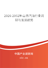 2026-2032年山西汽油行業(yè)調(diào)研與發(fā)展趨勢 2026-2032年山西汽油行業(yè)調(diào)研與發(fā)展趨勢