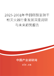 2025-2031年中國碳酸氫鈉干粉滅火器行業(yè)發(fā)展深度調(diào)研與未來趨勢(shì)報(bào)告