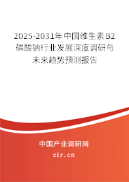 2025-2031年中國(guó)維生素B2磷酸鈉行業(yè)發(fā)展深度調(diào)研與未來(lái)趨勢(shì)預(yù)測(cè)報(bào)告