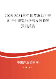 2025-2031年中國(guó)叉車(chē)動(dòng)力電池行業(yè)研究分析與發(fā)展趨勢(shì)預(yù)測(cè)報(bào)告