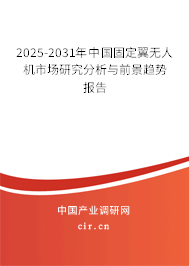 2025-2031年中國固定翼無人機市場研究分析與前景趨勢報告