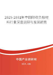 2024-2030年中國硅碳負極材料行業(yè)深度調(diào)研與發(fā)展趨勢 2024-2030年中國硅碳負極材料行業(yè)深度調(diào)研與發(fā)展趨勢