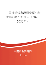 中國裸銅線市場調(diào)查研究與發(fā)展前景分析報告(2025-2031年) 中國裸銅線市場調(diào)查研究與發(fā)展前景分析報告(2025-2031年)