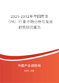 2025-2031年中國尼龍(PA)行業(yè)市場分析與發(fā)展趨勢研究報告 2025-2031年中國尼龍(PA)行業(yè)市場分析與發(fā)展趨勢研究報告