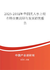 2025-2031年中國無人水上艇市場全面調(diào)研與發(fā)展趨勢報(bào)告