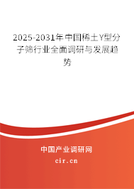 2025-2031年中國(guó)稀土Y型分子篩行業(yè)全面調(diào)研與發(fā)展趨勢(shì)