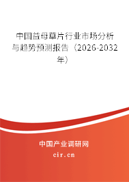 中國益母草片行業(yè)市場分析與趨勢預測報告（2026-2032年）