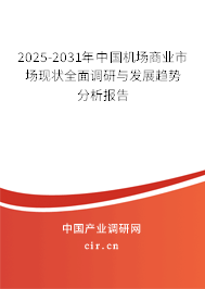 2025-2031年中國機(jī)場商業(yè)市場現(xiàn)狀全面調(diào)研與發(fā)展趨勢分析報(bào)告