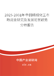 2025-2031年中國(guó)精細(xì)化工市場(chǎng)調(diào)查研究及發(fā)展前景趨勢(shì)分析報(bào)告