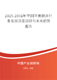 2025-2031年中國平面磨床行業(yè)發(fā)展深度調研與未來趨勢報告
