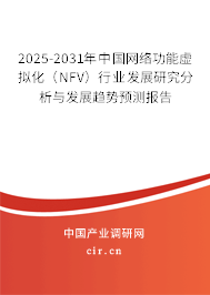 2025-2031年中國網(wǎng)絡(luò)功能虛擬化（NFV）行業(yè)發(fā)展研究分析與發(fā)展趨勢預測報告