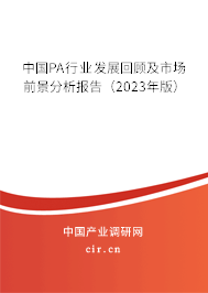 中國(guó)PA行業(yè)發(fā)展回顧及市場(chǎng)前景分析報(bào)告（2023年版）