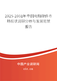 2025-2031年中國電腦硬件市場現(xiàn)狀調研分析與發(fā)展前景報告
