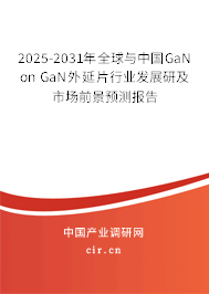 2025-2031年全球與中國GaN on GaN外延片行業(yè)發(fā)展研及市場前景預(yù)測報告