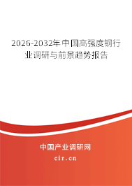 2024-2030年中國高強(qiáng)度鋼行業(yè)調(diào)研與前景趨勢報(bào)告