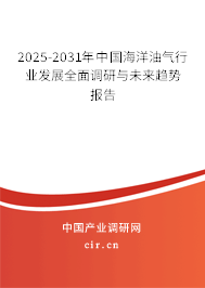 2025-2031年中國海洋油氣行業(yè)發(fā)展全面調(diào)研與未來趨勢報告