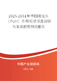 2025-2031年中國激光頭（PUH）市場現(xiàn)狀深度調(diào)研與發(fā)展趨勢預(yù)測報告