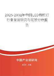 2025-2031年中國LED櫥柜燈行業(yè)發(fā)展研究與前景分析報告 2025-2031年中國LED櫥柜燈行業(yè)發(fā)展研究與前景分析報告