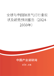 全球與中國鈉蒸氣燈行業(yè)現狀及趨勢預測報告（2024-2030年）