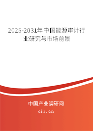 2025-2031年中國能源審計行業(yè)研究與市場前景 2025-2031年中國能源審計行業(yè)研究與市場前景